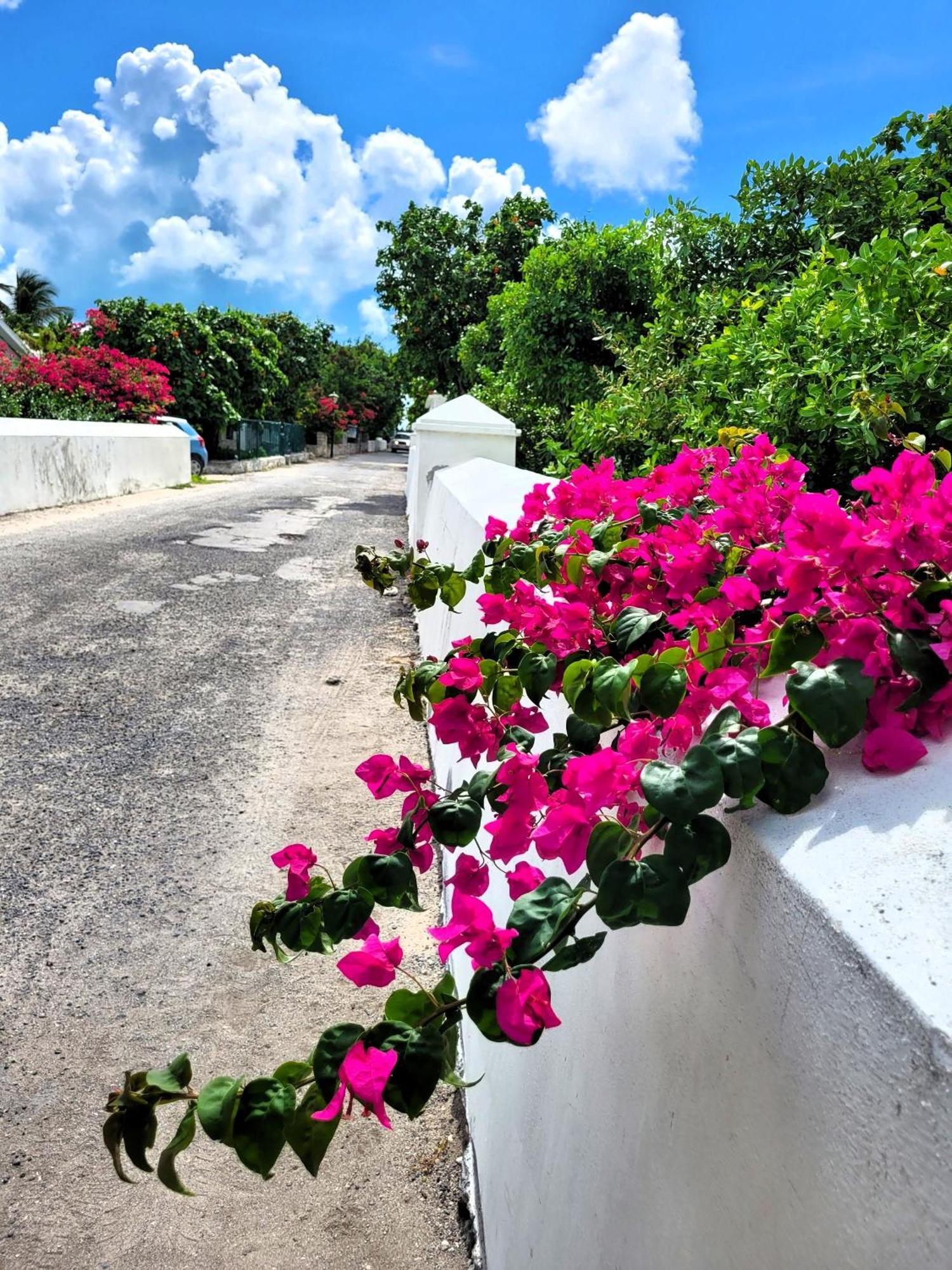 Turks Head Inne Grand Turk Exterior foto